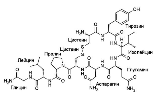 молекула окситоцина как пример длинного пептида ideal pharma peptide