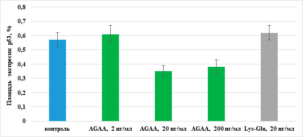 Влияние пептида IPH-AGAA на экспрессию р53 в первичной культуре бедренных мышц крыс. 