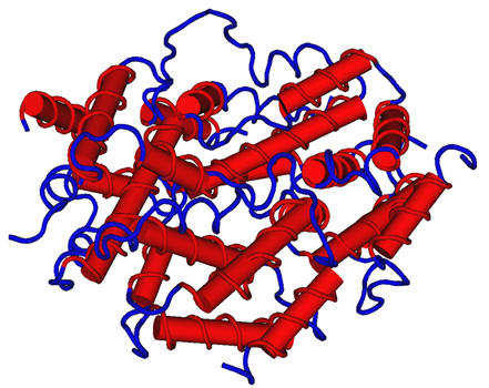 Схематическое строение интерферона гамма короткий пептид IPH REG ideal pharma peptide