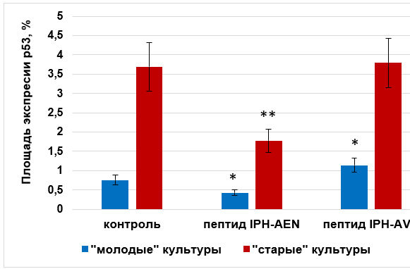 Влияние пептидов на экспрессию р53 в культуре хондроцитов крысы