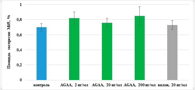 Влияние пептида IPH-AGAA на экспрессию Mif5 в первичной культуре бедренных мышц крыс. 