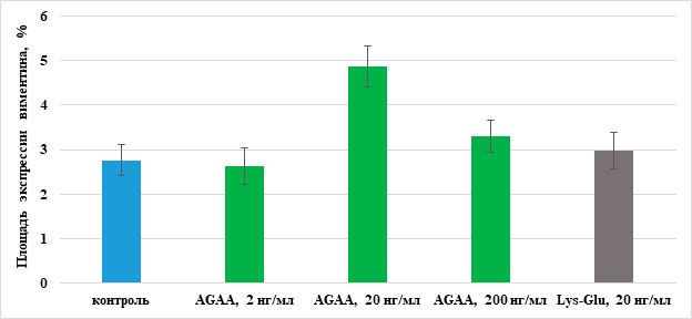 Влияние пептида IPH-AGAA на экспрессию виментина в культуре мезенхимных стволовых клеток из мышцы эмбриона человека линии FetMSC.<br /> * - р < 0,05 по сравнению с контролем. 
