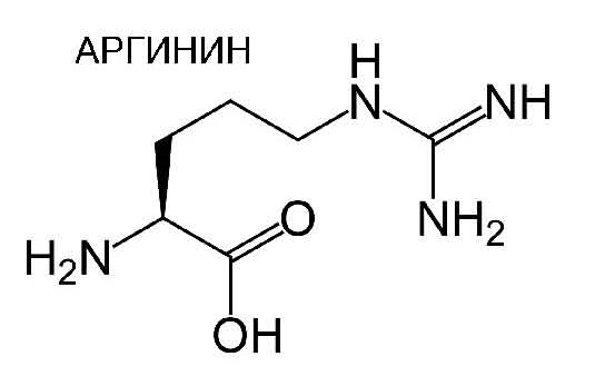 аргинин ideal pharma peptide функциональные напитки