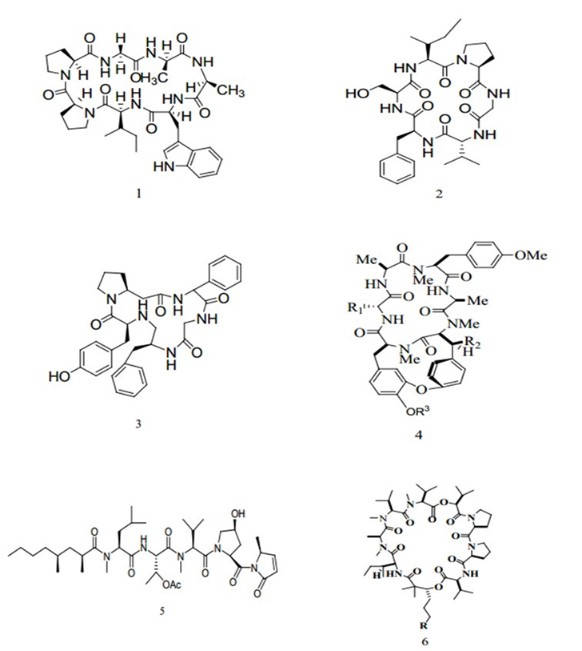 Циклопептиды из наземных растений ideal pharma peptide